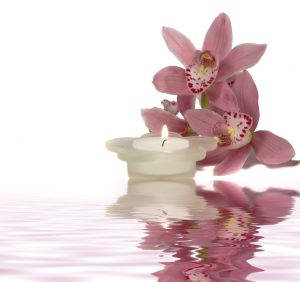 Candle-orchid