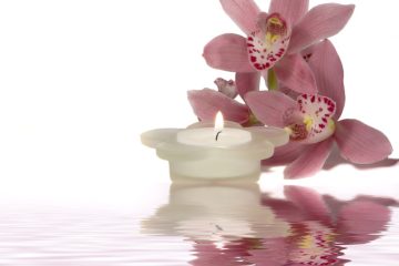 Candle-orchid