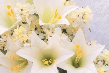 easter lilies